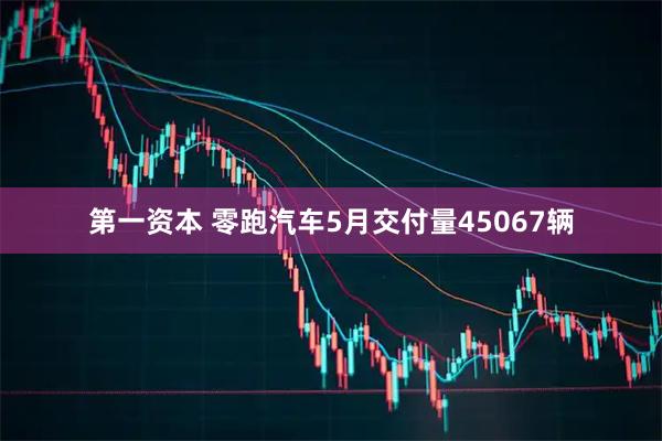 第一资本 零跑汽车5月交付量45067辆