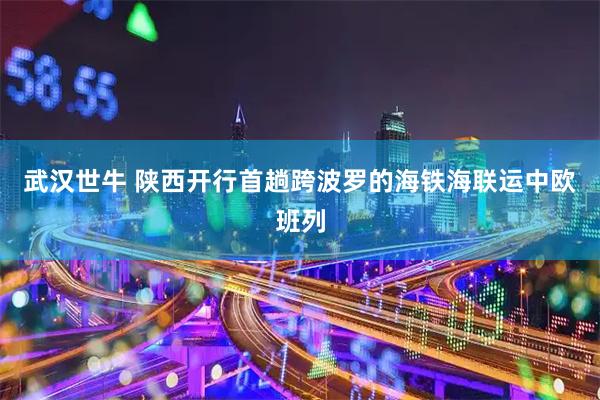 武汉世牛 陕西开行首趟跨波罗的海铁海联运中欧班列